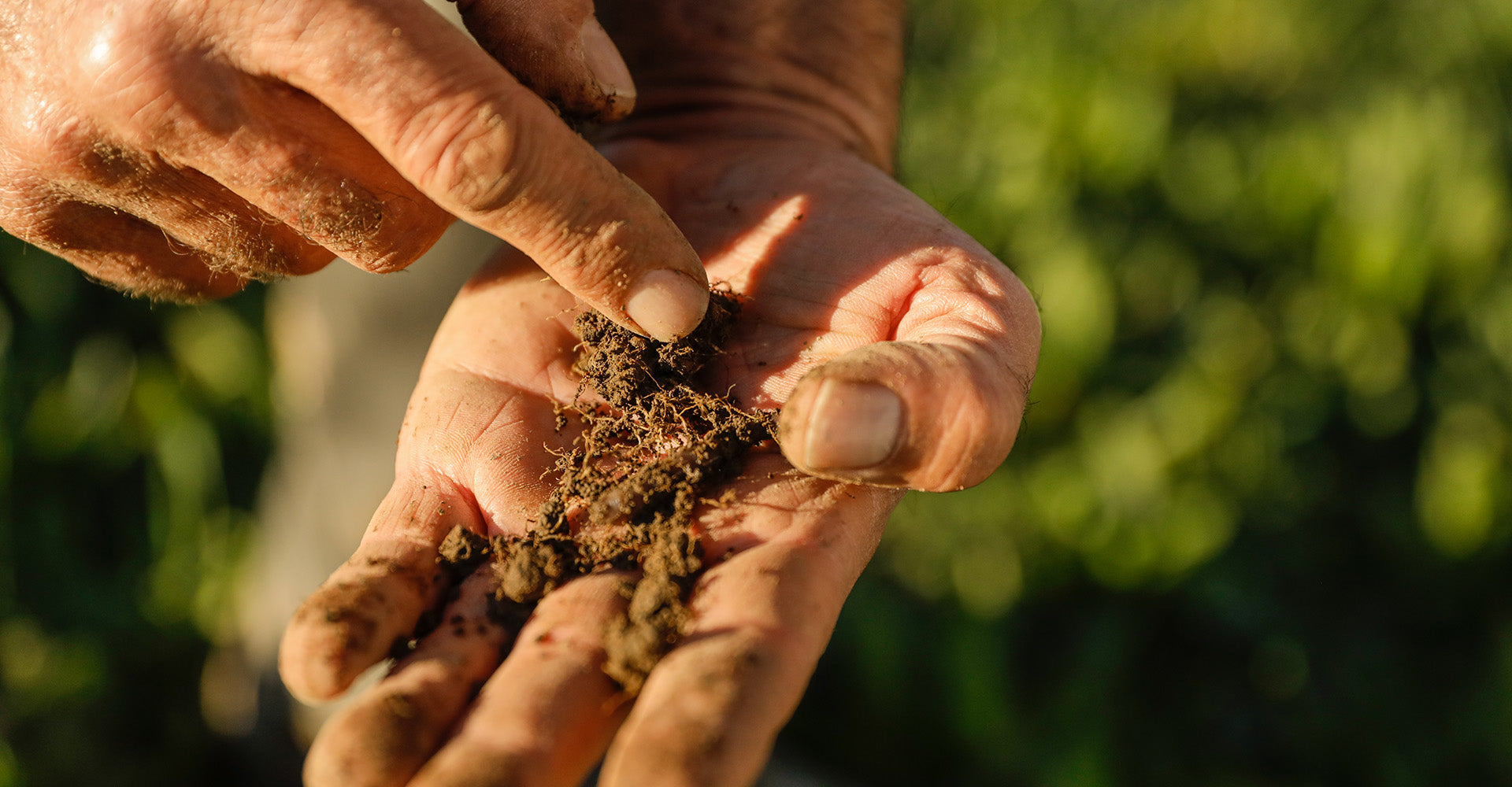 Why we should all care about World Soil Day